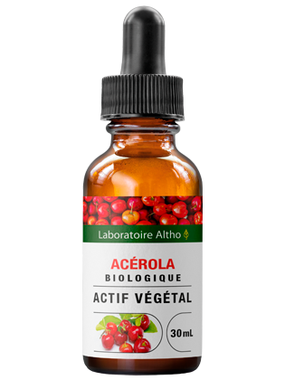 Acérola bio