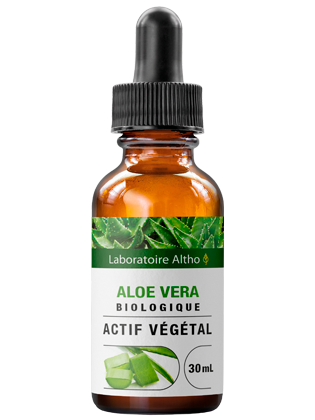 Aloe vera bio