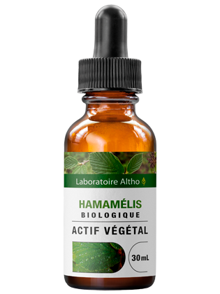 Hamamélis bio