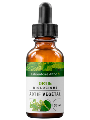 Ortie bio