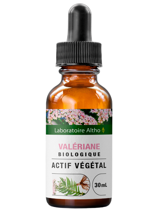 Valériane bio