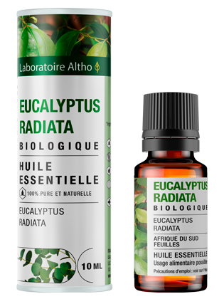 Eucalyptus radiata bio - 10 mL