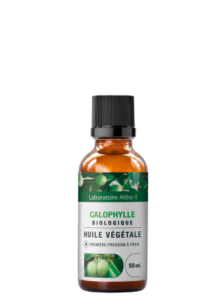 Calophylle (Tamanu) bio - 50mL