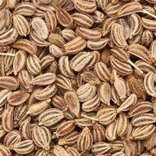 Ajowan bio